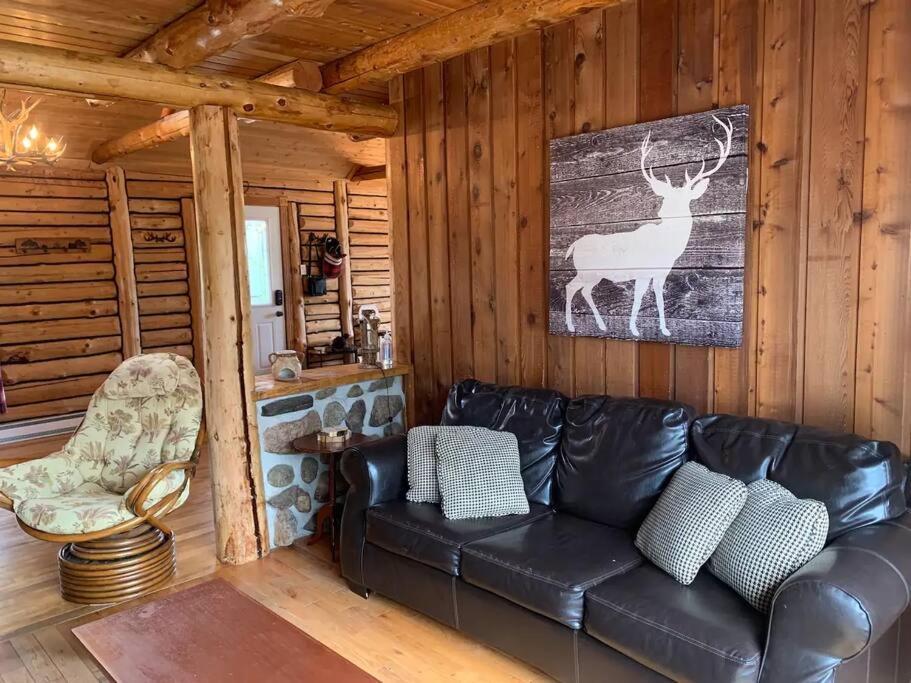 Cozy Log